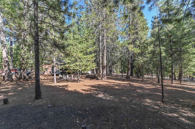 20175 Pine Dr, Pioneer, CA 95666