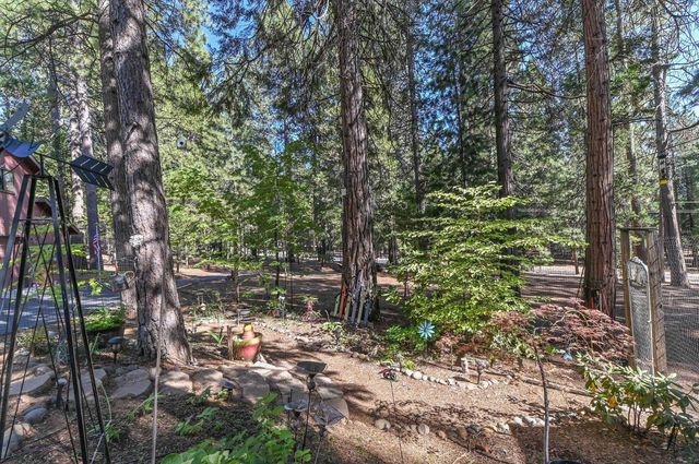 20175 Pine Dr, Pioneer, CA 95666