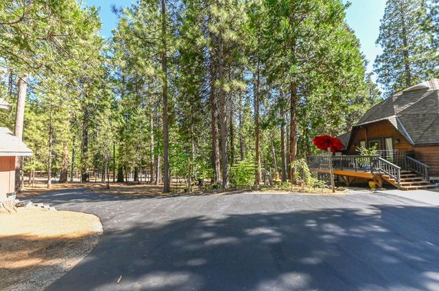 20175 Pine Dr, Pioneer, CA 95666