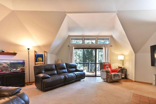 20175 Pine Dr, Pioneer, CA 95666