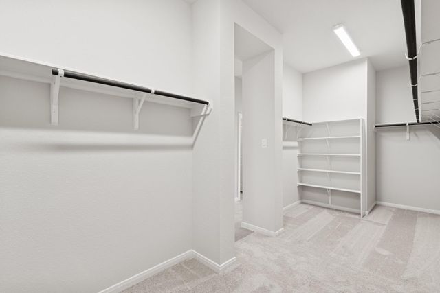 21611 Bluestem Fields Drive, Waller, TX 77484