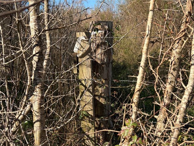 2504 Peach Ridge Road, Brookshire, TX 77423