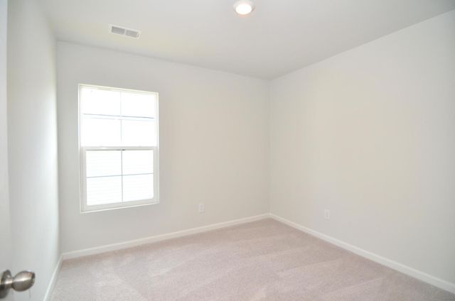 333 Matuskovic Drive, Charleston, SC 29414