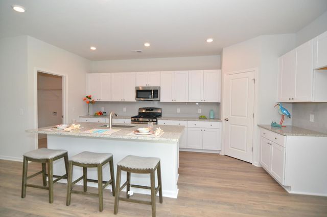 333 Matuskovic Drive, Charleston, SC 29414