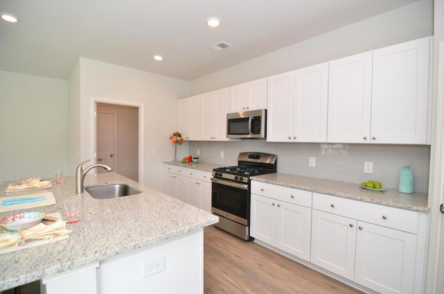333 Matuskovic Drive, Charleston, SC 29414