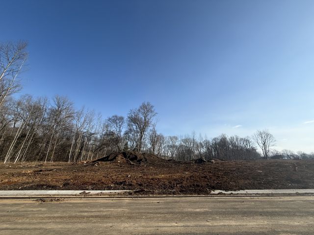 537 Divine Court, Arrington, TN 37014