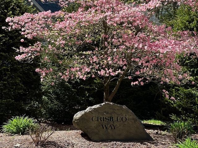 10 Crisileo Way, Canton, MA 02021