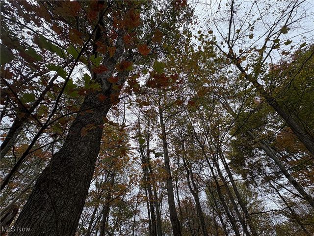 33855 State Route 800, New Matamoras, OH 45767