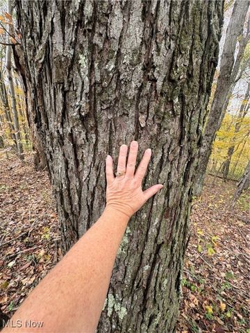 33855 State Route 800, New Matamoras, OH 45767