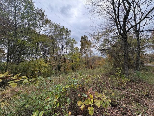 33855 State Route 800, New Matamoras, OH 45767