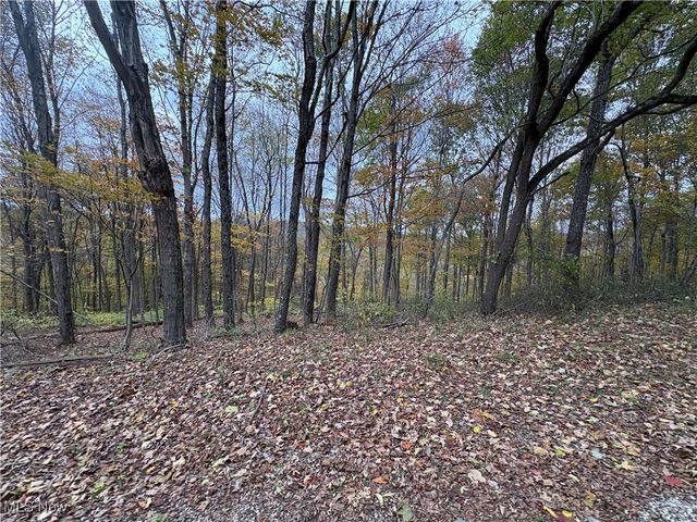 33855 State Route 800, New Matamoras, OH 45767