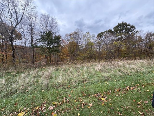 33855 State Route 800, New Matamoras, OH 45767