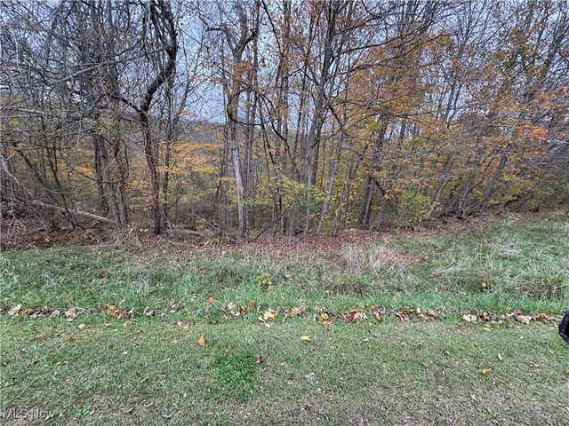 33855 State Route 800, New Matamoras, OH 45767