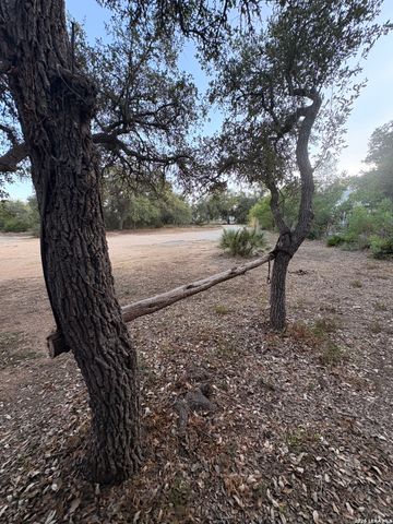 233 Rust Ranch Rd., Blanco, TX 78606
