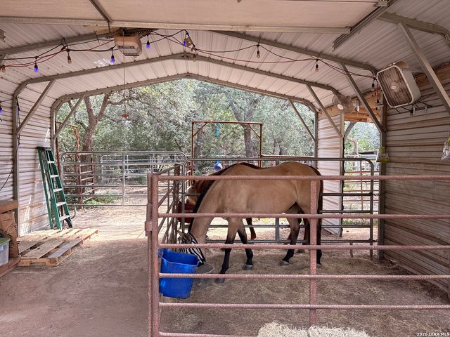233 Rust Ranch Rd., Blanco, TX 78606