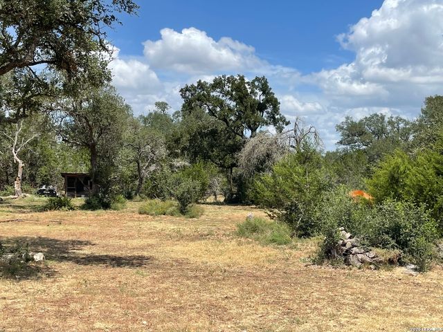 233 Rust Ranch Rd., Blanco, TX 78606