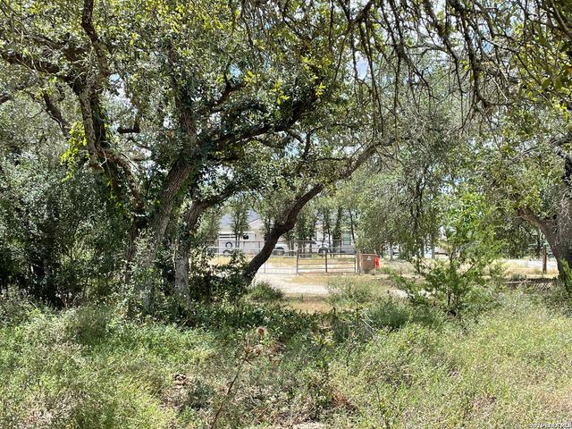 233 Rust Ranch Rd., Blanco, TX 78606