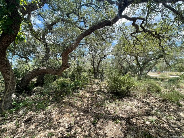 233 Rust Ranch Rd., Blanco, TX 78606