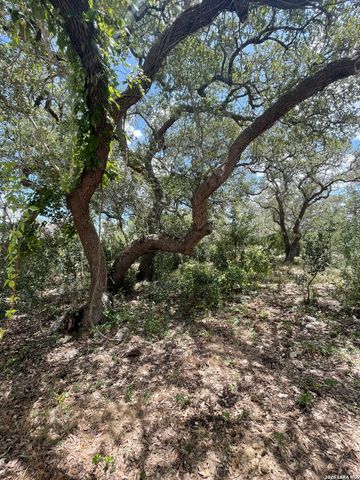 233 Rust Ranch Rd., Blanco, TX 78606