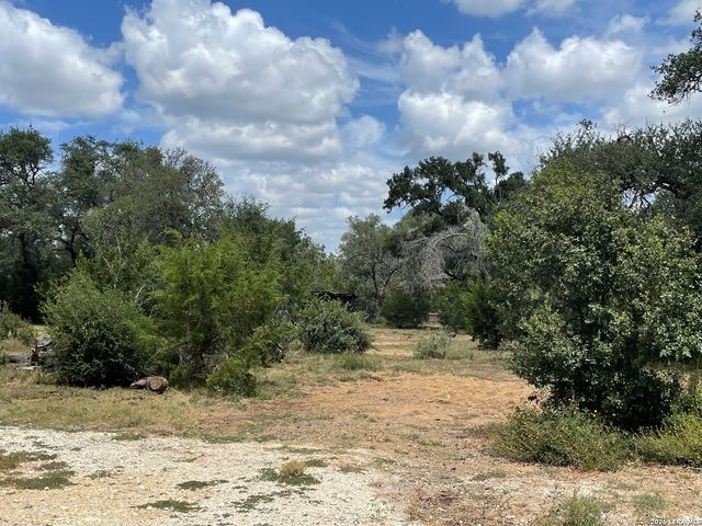 233 Rust Ranch Rd., Blanco, TX 78606