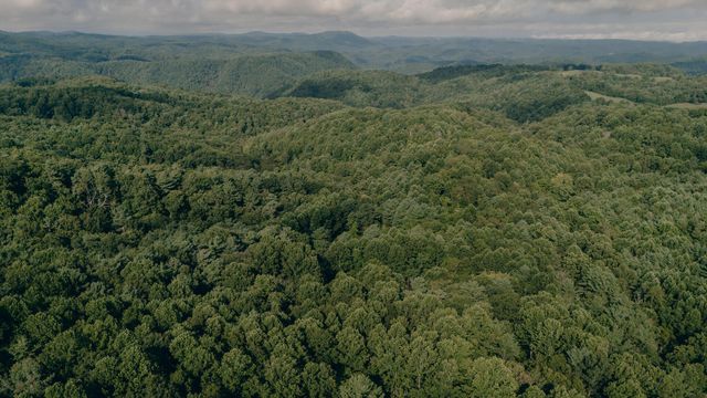 8780 Sugar Run RD NE, Copper Hill, VA 24079