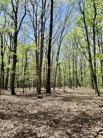 0 Timberwood Trace Lot 325 & 326, Monteagle, TN 37356