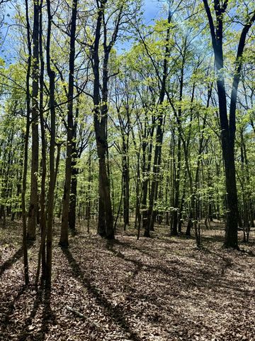 0 Timberwood Trace Lot 325 & 326, Monteagle, TN 37356