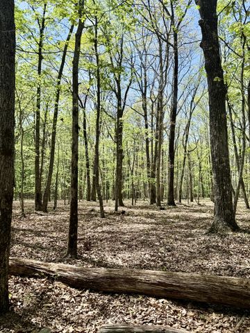 0 Timberwood Trace Lot 325 & 326, Monteagle, TN 37356