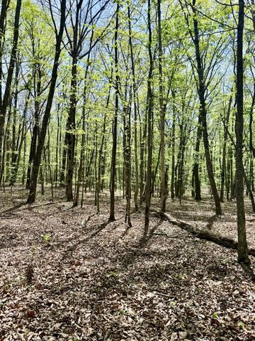 0 Timberwood Trace Lot 325 & 326, Monteagle, TN 37356
