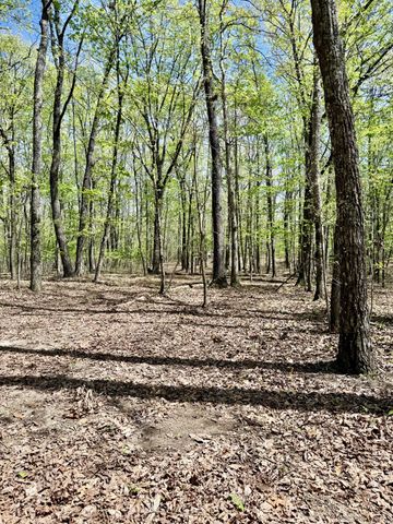 0 Timberwood Trace Lot 325 & 326, Monteagle, TN 37356