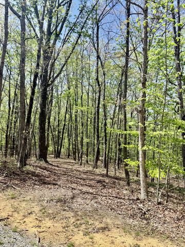 0 Timberwood Trace Lot 325 & 326, Monteagle, TN 37356