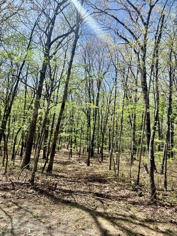 0 Timberwood Trace Lot 325 & 326, Monteagle, TN 37356