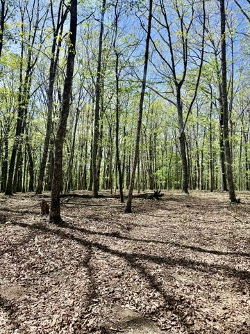 0 Timberwood Trace Lot 325 & 326, Monteagle, TN 37356