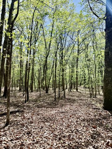 0 Timberwood Trace Lot 325 & 326, Monteagle, TN 37356