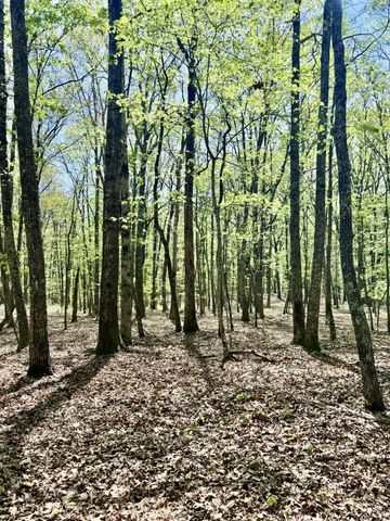 0 Timberwood Trace Lot 325 & 326, Monteagle, TN 37356