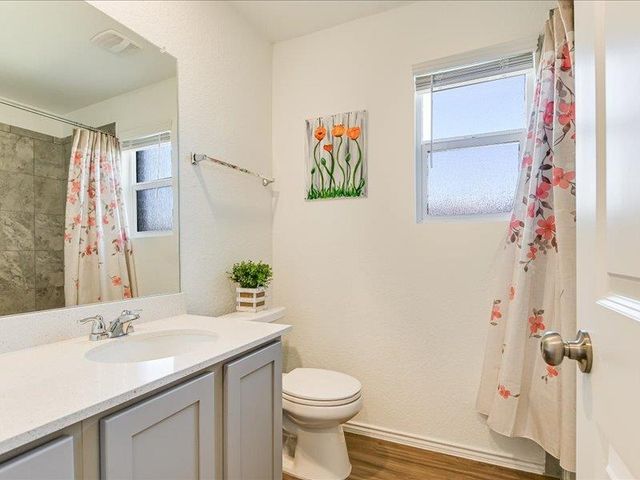 3201 Dusted Daisey ST, Pflugerville, TX 78660