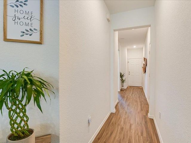 3201 Dusted Daisey ST, Pflugerville, TX 78660