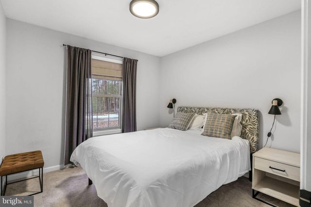 323 PALMER RD, Basye, VA 22810