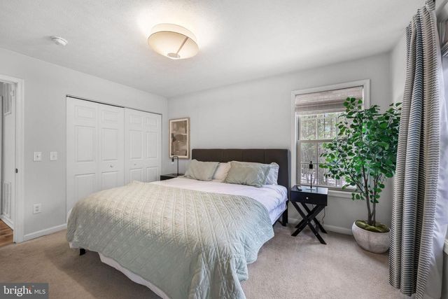 323 PALMER RD, Basye, VA 22810