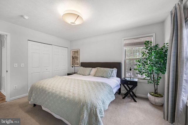 323 PALMER RD, Basye, VA 22810