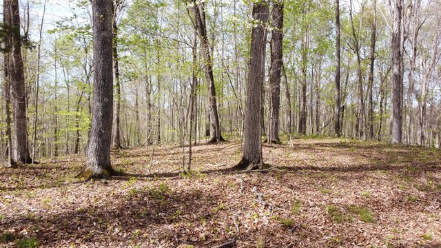 0 Off Johnson Chapel Rd, Sparta, TN 38583