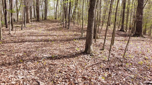 0 Off Johnson Chapel Rd, Sparta, TN 38583