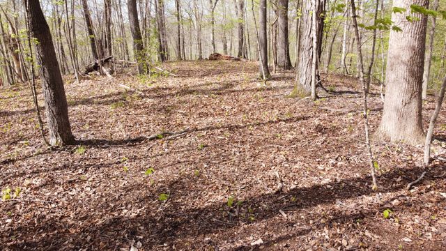 0 Off Johnson Chapel Rd, Sparta, TN 38583