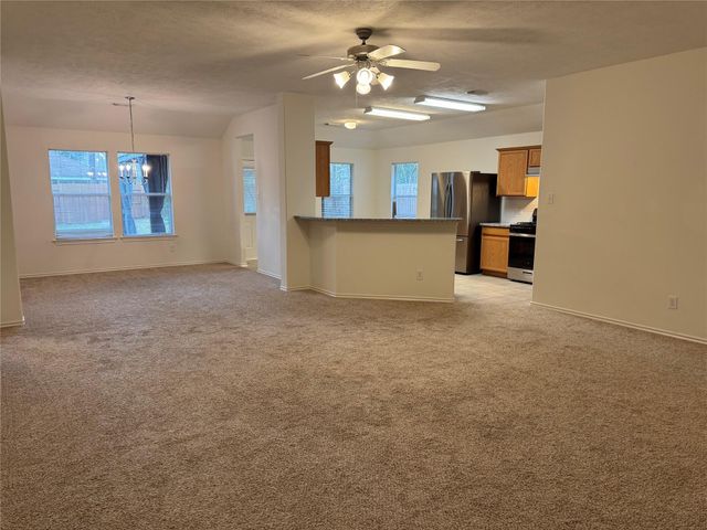 10 Druids Glen Place, The Woodlands, TX 77382