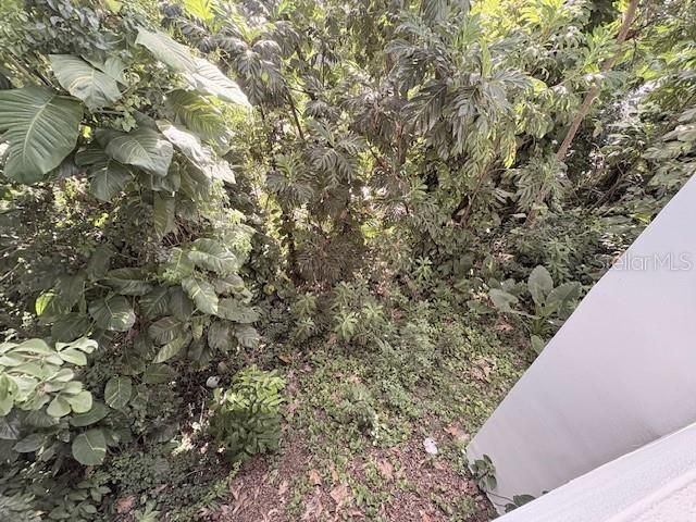 Calle 10 10, Canovanas, PR 00729