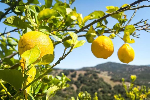 31924 Calle El Potrero, Pauma Valley, CA 92061