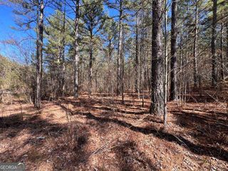 LOT 50 Deyton Drive, Blairsville, GA 30512