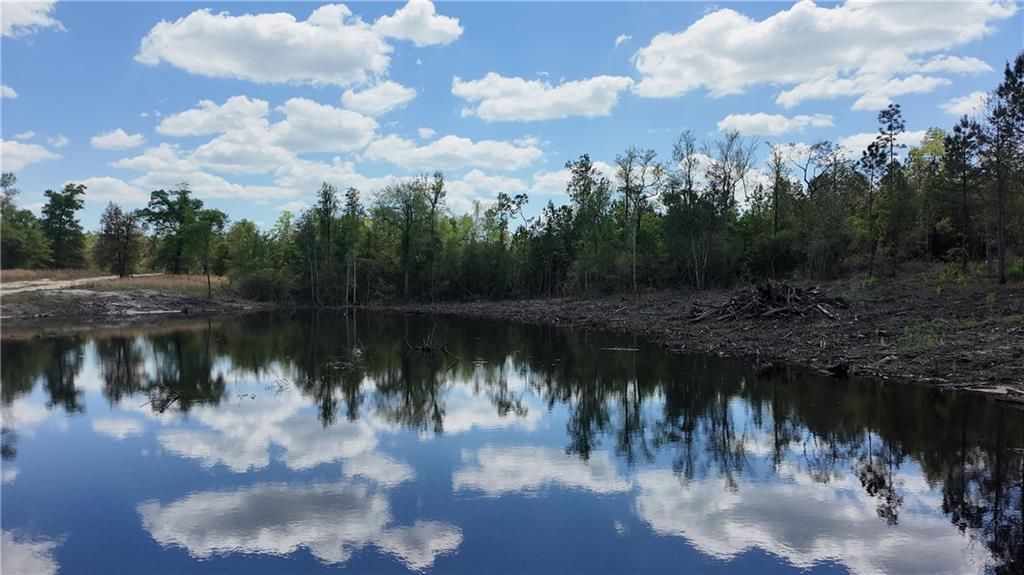 0 Powell Road, Eight Mile, AL 36613 — photo 2
