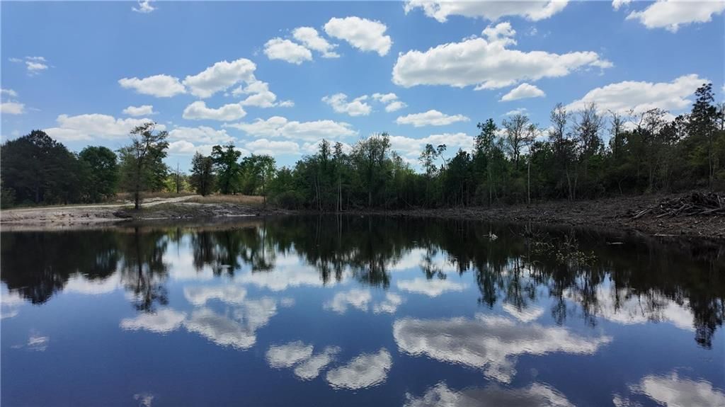 0 Powell Road, Eight Mile, AL 36613 — photo 3
