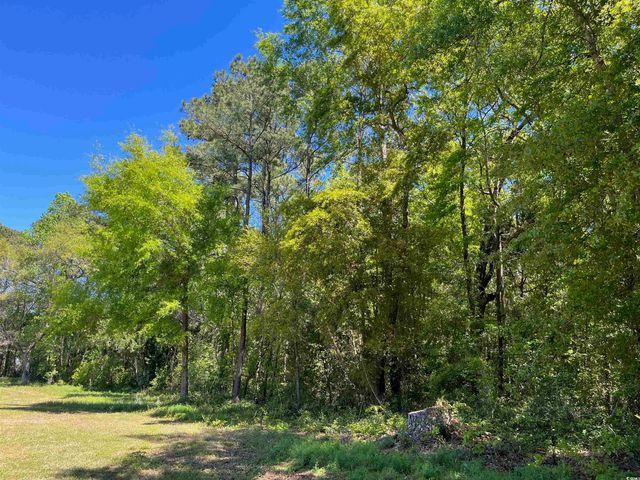 135 Ben Horry Trail, Pawleys Island, SC 29585